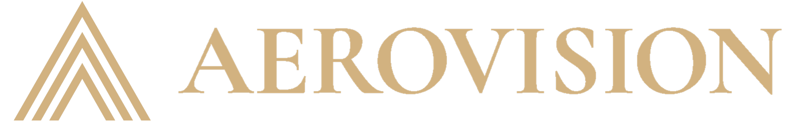 AeroVision